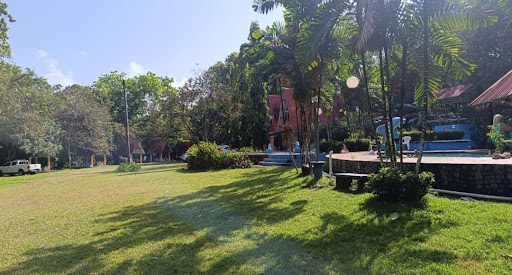 Photo from customer review