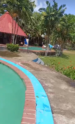 Photo from customer review