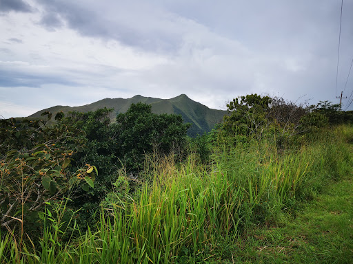 Photo from customer review