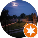 Harry Meek profile picture