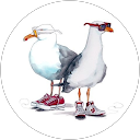 Ary Coronado profile picture